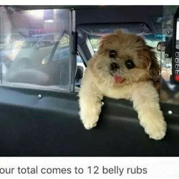 Meet your Posher, Angie - Picture 2 of 3